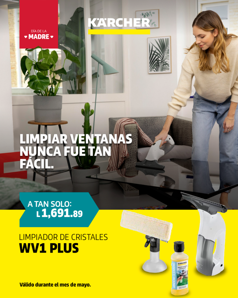 Limpiador de cristales WV1 Plus