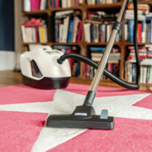 ASPIRADORA PURIFICADORA DS 6